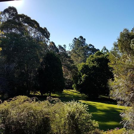 The Paddocks Βίλα Maleny Εξωτερικό φωτογραφία
